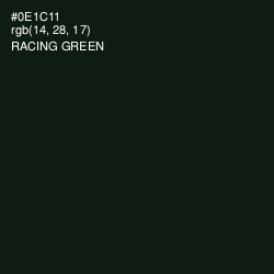 #0E1C11 - Racing Green Color Image